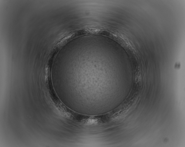 X0000097830647200803281201