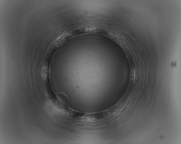 X0000097830648200803281201