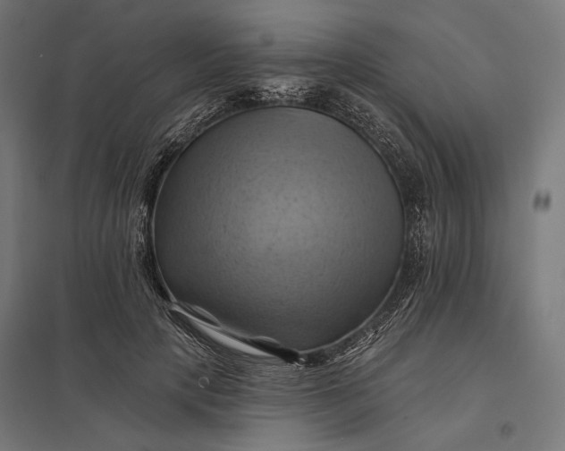 X0000097830649200803281201