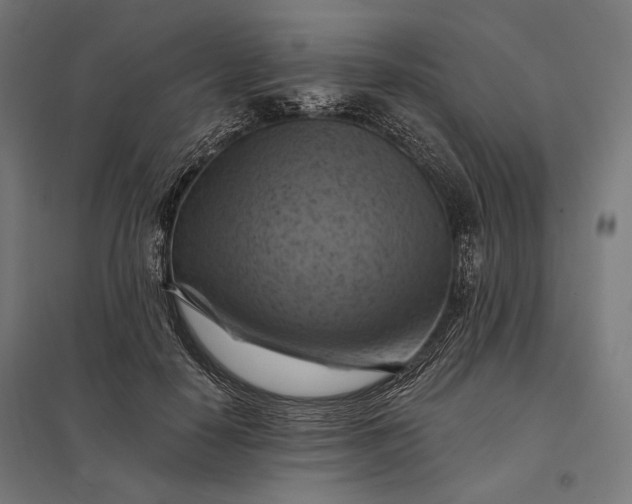 X0000097830650200803281201