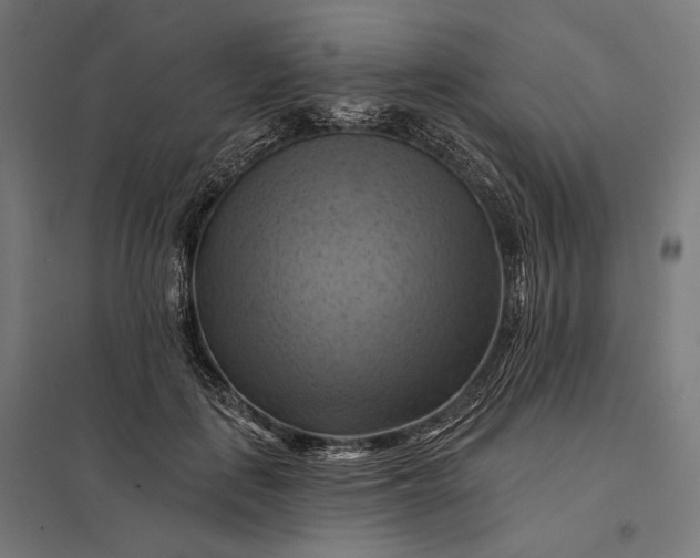 X0000097830651200803281201