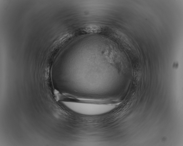 X0000097830652200803281201