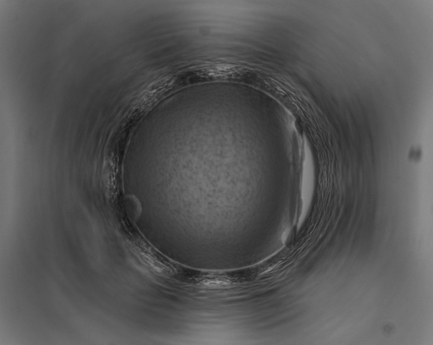 X0000097830653200803281201