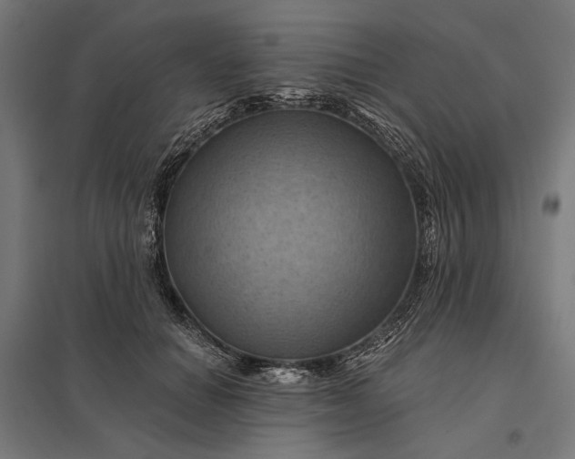 X0000097830654200803281201