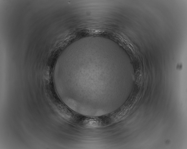 X0000097830655200803281201