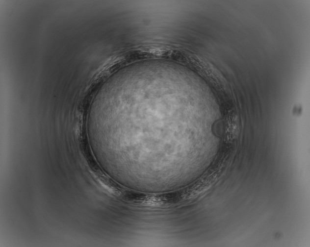 X0000097830656200803281201