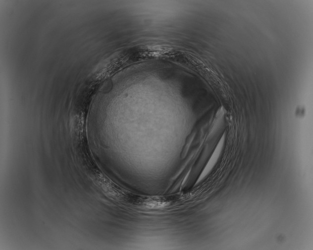 X0000097830657200803281201