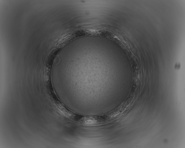 X0000097830658200803281201