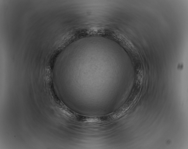 X0000097830659200803281201