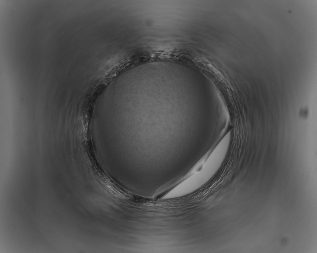 X0000097830661200803281201