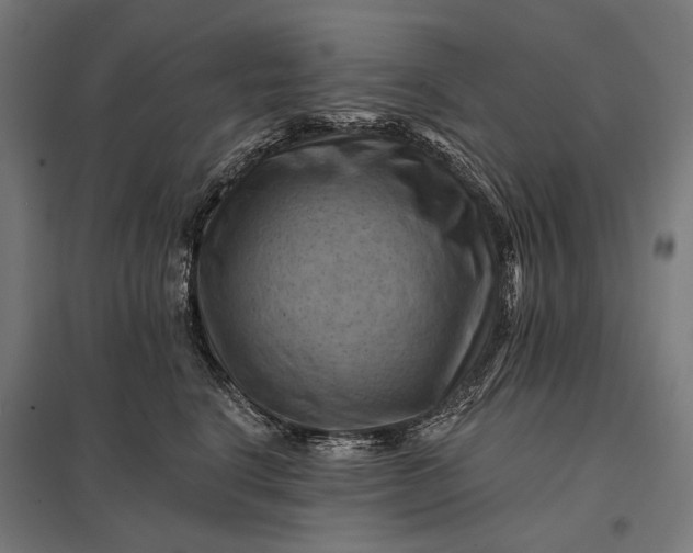 X0000097830664200803281201