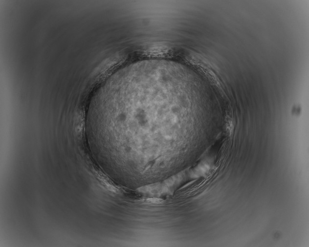 X0000097830665200803281201