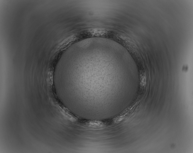 X0000097830666200803281201