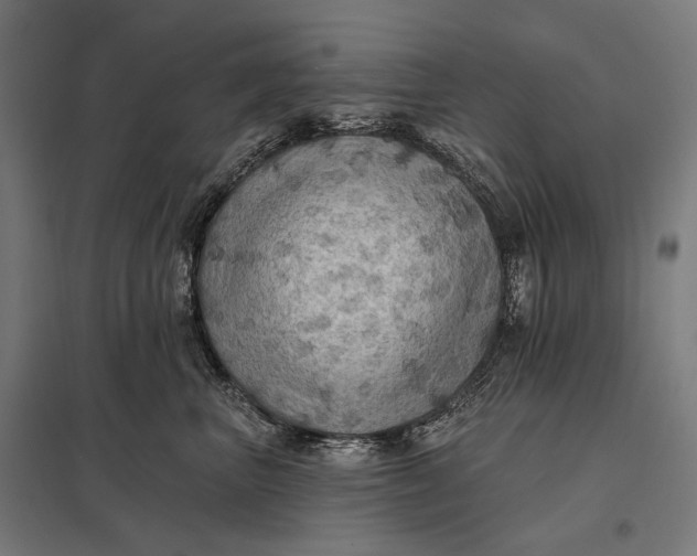 X0000097830667200803281202