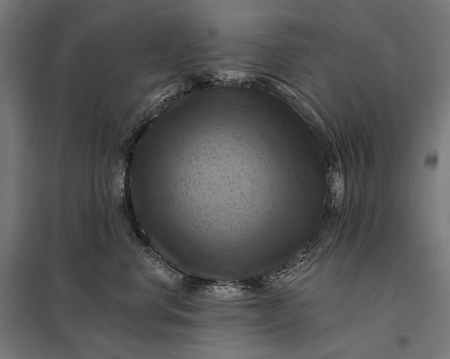 X0000097830668200803281202