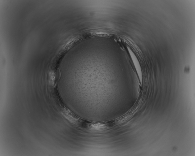 X0000097830669200803281202