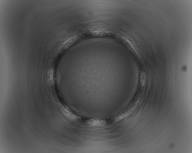 X0000097830670200803281202