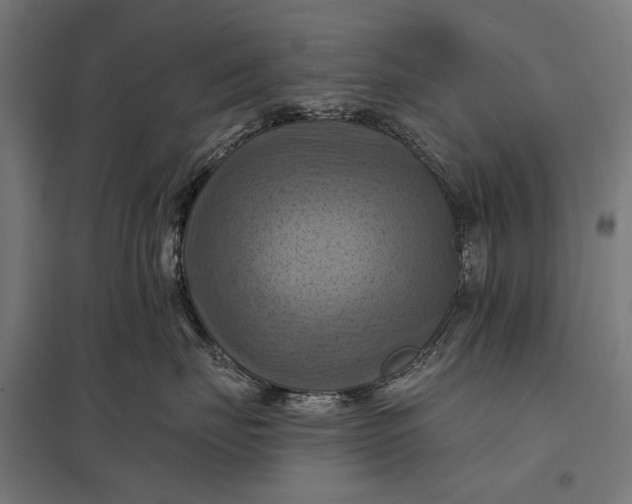 X0000097830671200803281202