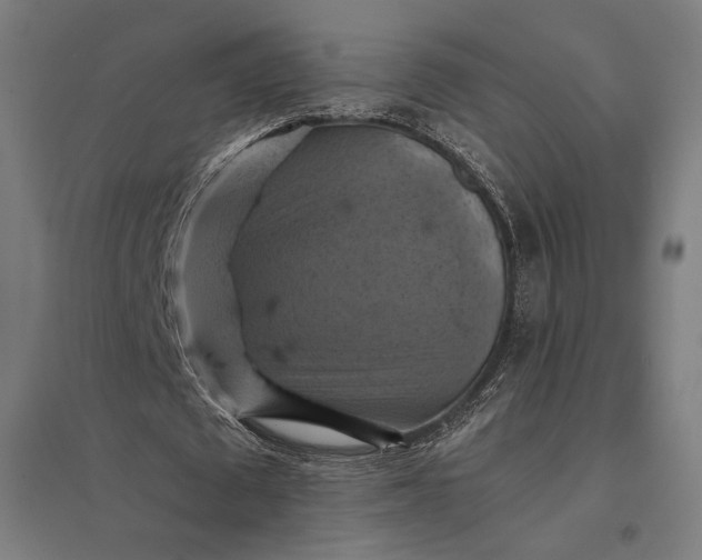 X0000097830673200803281201