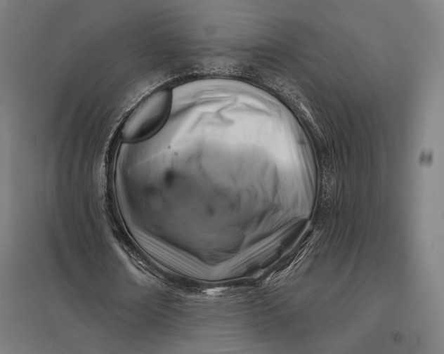 X0000097830674200803281201