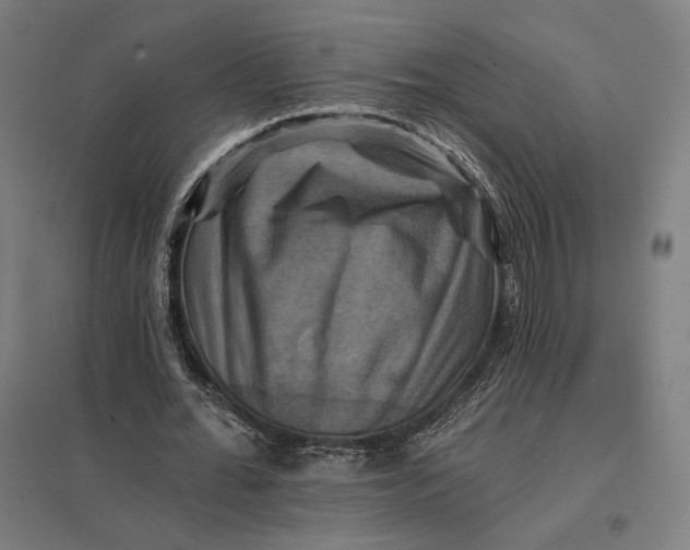 X0000097830676200803281201