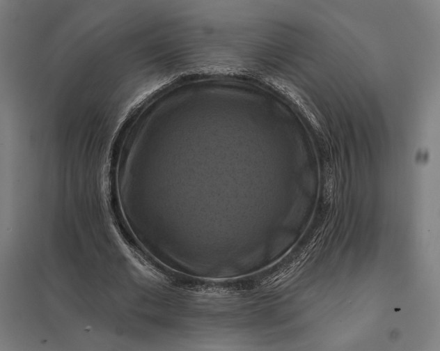 X0000097830677200803281201