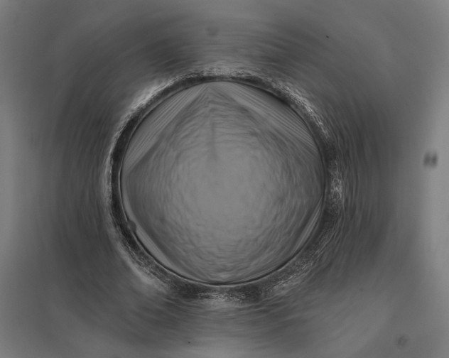 X0000097830678200803281201