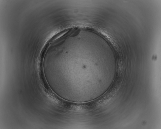 X0000097830679200803281201