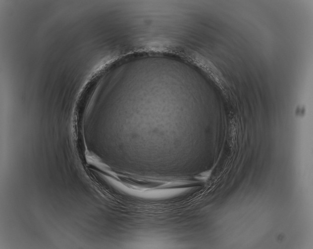 X0000097830680200803281201