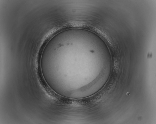 X0000097830682200803281201