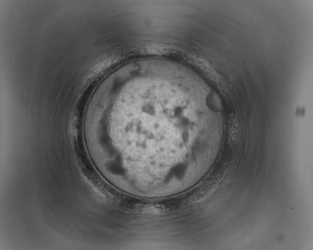 X0000097830683200803281201