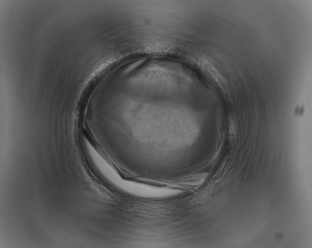 X0000097830684200803281201