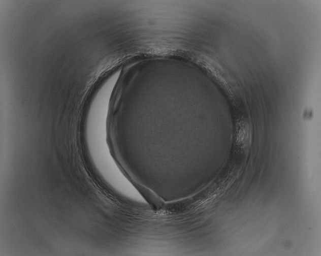 X0000097830685200803281201