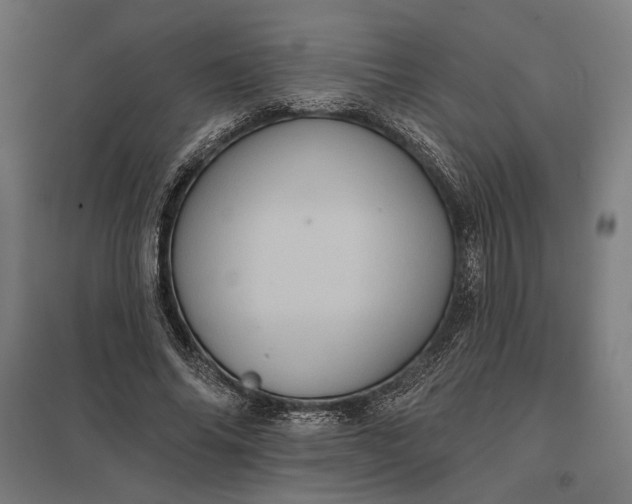 X0000097830686200803281201