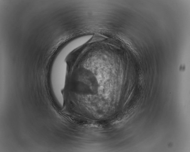 X0000097830687200803281201