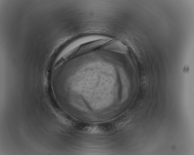 X0000097830688200803281201