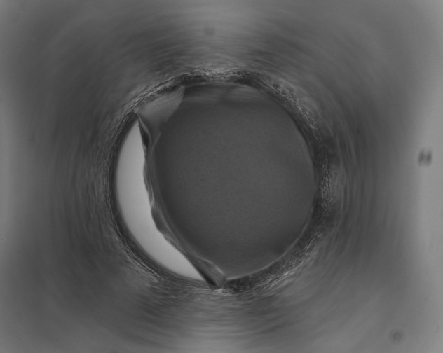 X0000097830689200803281201