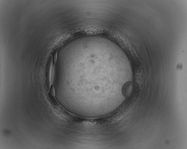 X0000097830690200803281201