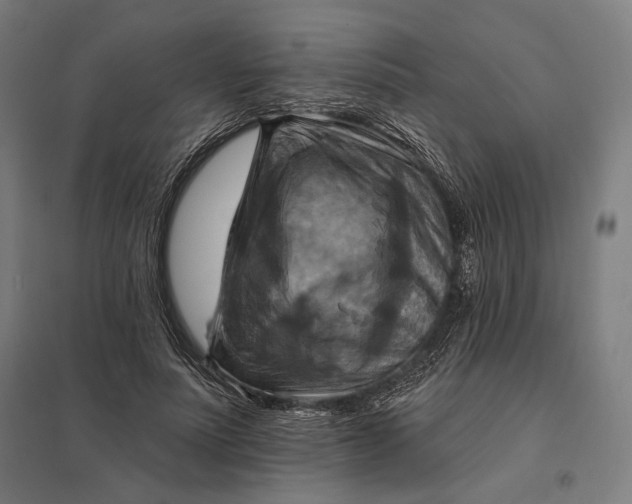 X0000097830691200803281201