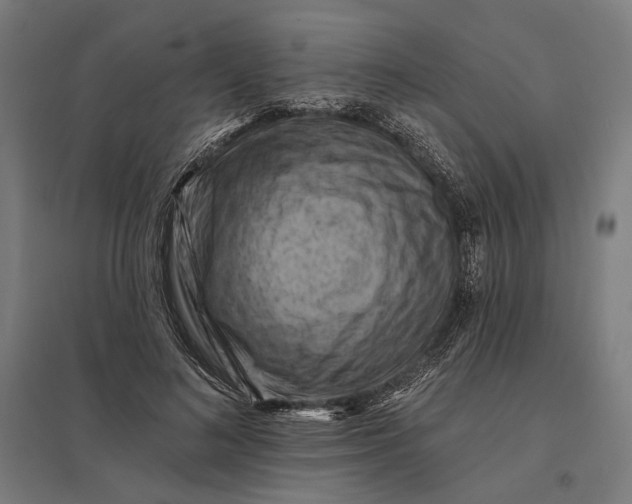 X0000097830692200803281201