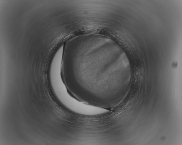 X0000097830693200803281201