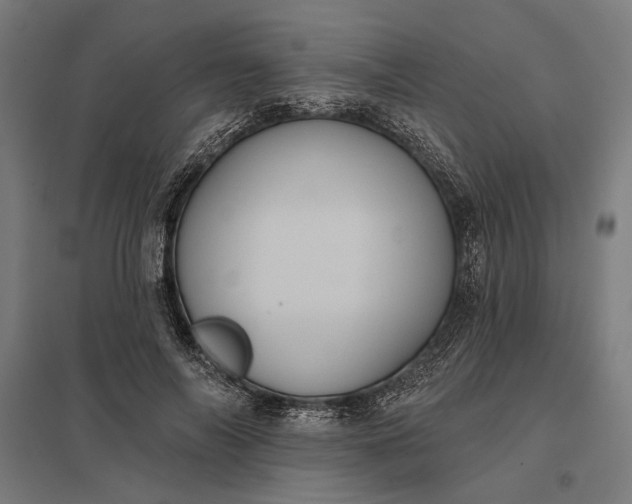 X0000097830694200803281201