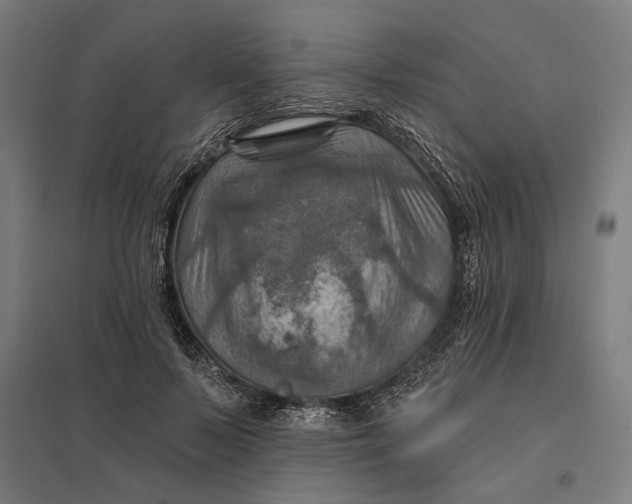 X0000097830695200803281201