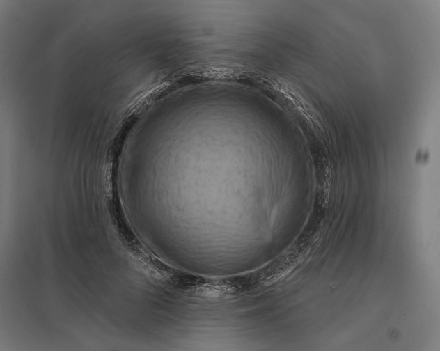 X0000097830696200803281201