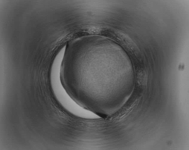 X0000097830697200803281201