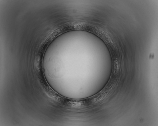 X0000097830698200803281200