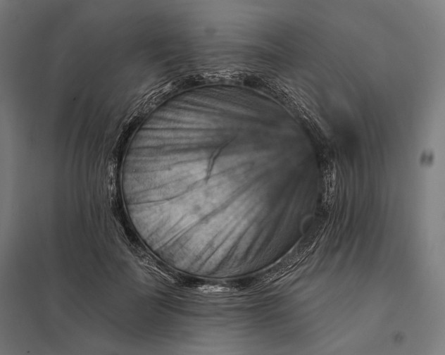 X0000097830699200803281200