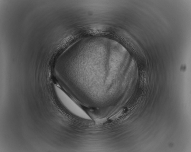 X0000097830700200803281200