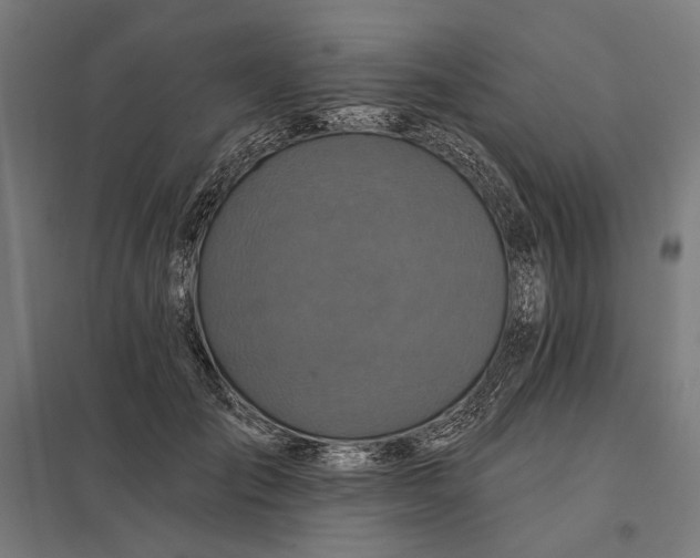 X0000097830701200803281200