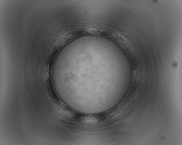 X0000097830702200803281200